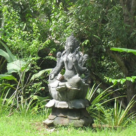 Sananda Bungalow Lovina Buitenkant foto