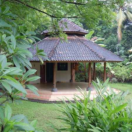 Sananda Bungalow Lovina Buitenkant foto