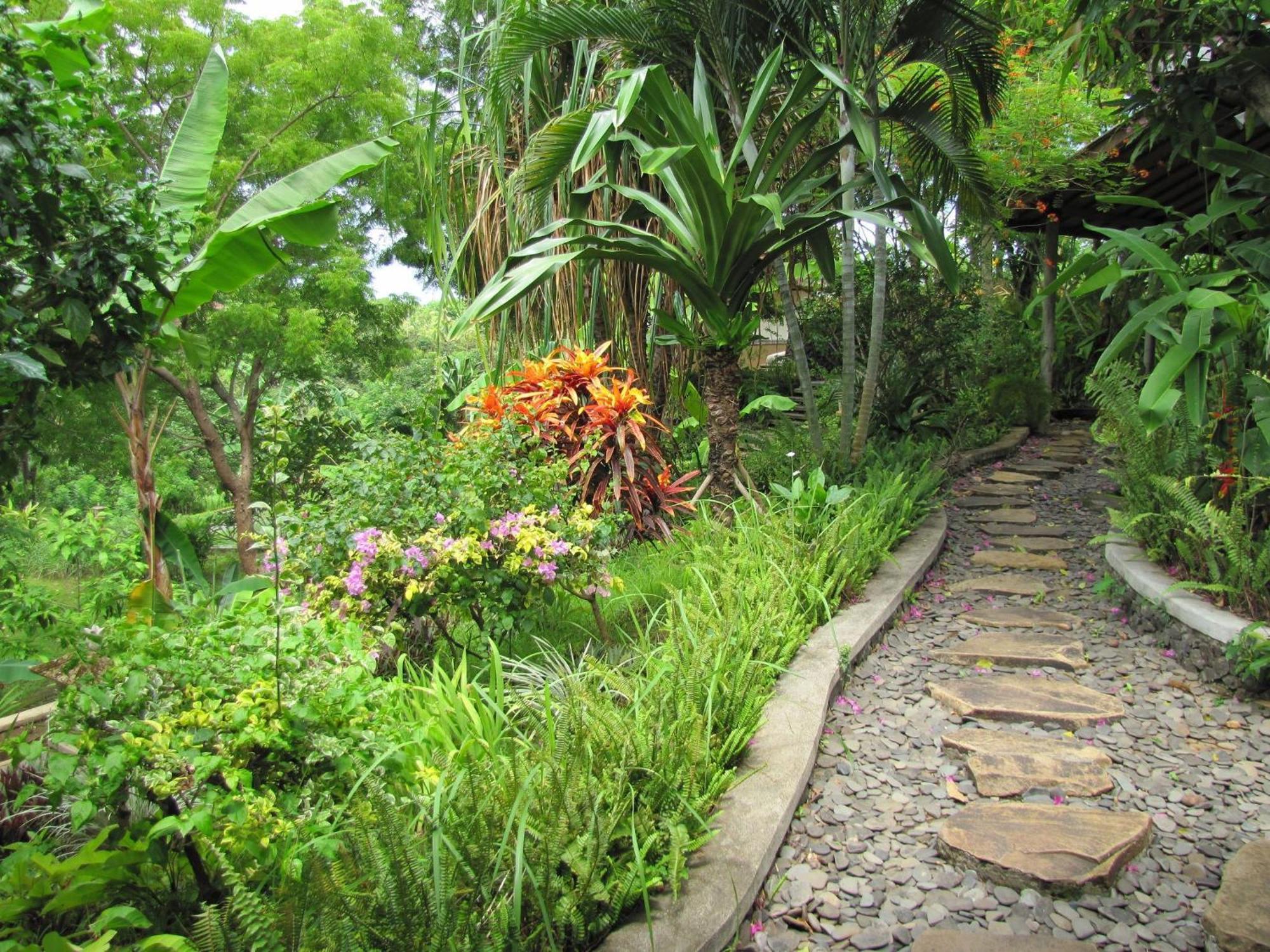 Sananda Bungalow Lovina Buitenkant foto