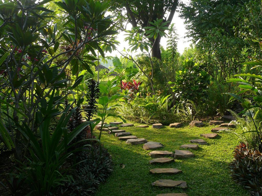 Sananda Bungalow Lovina Buitenkant foto