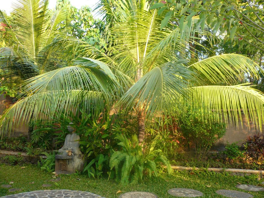 Sananda Bungalow Lovina Buitenkant foto